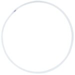 aro rodeo pastorelli